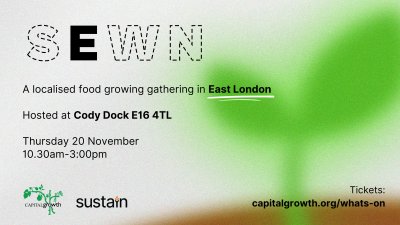 SEWN East 2025 web graphic. Credit: Lula