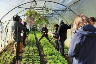 Head Grower, Chrissy Harrison, delivering food growing training on Keats Farm.. Copyright: Mayya Husseini