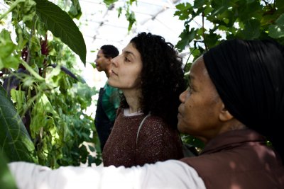 Pauline Shakespeare, Mayya Husseini, Paulette Henry. Credit: Manal Massalha