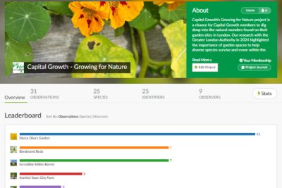 iNat screenshot. Credit: Lula Wattam