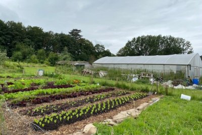 Rock Farm salad patch and polytunnels.. Credit: James Woodward