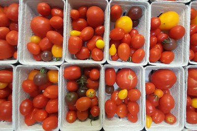 Fresh tomatoes for Oldham Community Vegbag. Credit: Oldham Community Vegbag
