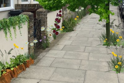 A pavement with wild plants growing. Credit: PAN-UK