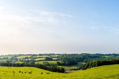 South Somerset, UK. Copyright: Phil Kieran | shutterstock