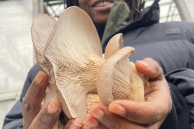 Pamela Shor holding mushrooms. Credit: Pamela Shor