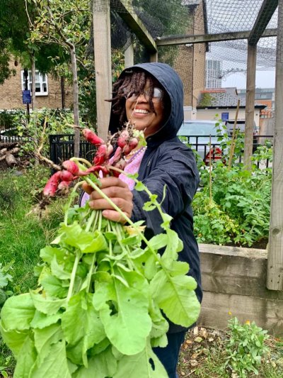 Even in the rain, the community enjoyed harvesting sweet tomatoes and peppery radishes and adding them to the Harvest-ometer. Copyright: Bernie Spain Gardens
