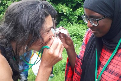 Bug hunt in action. Credit: Rachel Dring