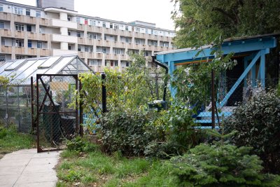 Cranbrook Community Food Garden on Cranbrook Estate in Tower Hamlets. Credit: Zoe Warde-Aldam