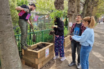 a group of people gardening in a park. Credit: Cranbrook Community Food Garden