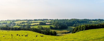  South Somerset, UK. Credit: Phil Kieran | Shutterstock