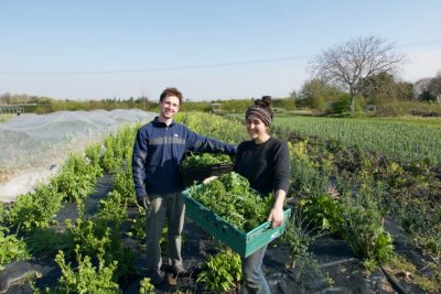 Sutton Community Farm. Credit: Sonia Cropper