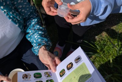 Big City Bug Hunt hands at Christchurch School Community Garden for Good to Grow 2026. Credit: Lula Wattam