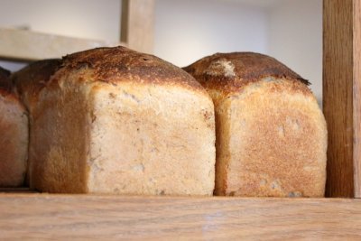 Daily bread @ Sourdough Sophia. Credit: Chris Young / www.realbreadcampaign.org CC-BY-SA-4.0