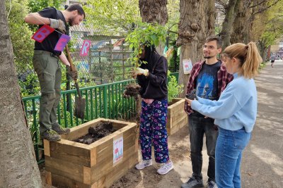 Volunteers planting raised bed. Credit: Bandstand Beds