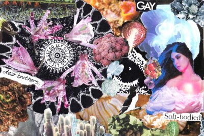 Queer Nature collage zine page by LGBTQI+ Gardening Group and Glasgow Food Policy Partnership. Credit: Fi, coordinator of the Govanhill Baths LGBTQI+ Gardening Group, part of a collaborative collage zine