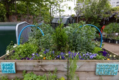 Granville Community Kitchen Garden. Credit: Jonathan Goldberg