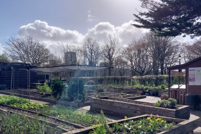 Regent's Park Allotment Garden on a sunny day in Spring. Copyright: Mayya Husseini