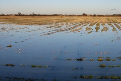 Flooded farmland in the Lydden Valley, Kent, UK. Credit: By Nick Smith, CC BY-SA 2.0, https://commons.wikimedia.org/w/index.php?curid=13191848