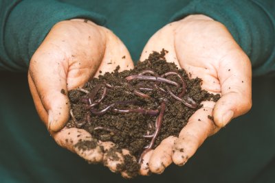 Compost. Credit: Sippakorn Yamkasikorn  | Pexels