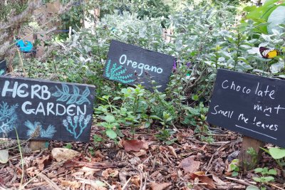 The budding herb garden in the GET OUT Food Forest. Copyright: Mayya Husseini
