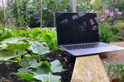 Laptop in a garden. Credit: Janelle Conn