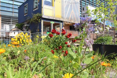 Urban garden with shipping container classroom and flowers. Credit: Jillian Linton | Global Generation