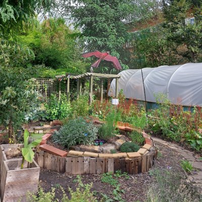 The heart of the GET OUT Food Forest on a peaceful day. Copyright: Mayya Husseini