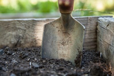 A trowel in the soil. Credit: walkersalmanac | Pixabay