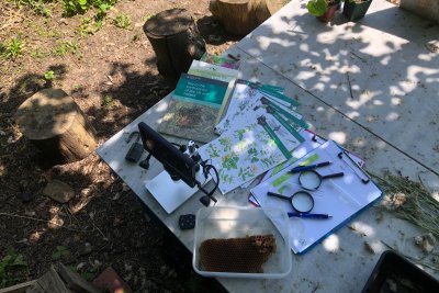 Ready for a bioblitz. Credit: Energy Garden