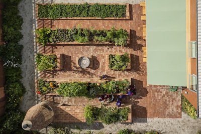 Birds eye view of an urban kitchen garden. Credit: Hackney School of Food