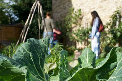 Volunteers at a community garden. Credit: Manal Massalha