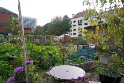 Story Garden at Kings Cross. Credit: Manal Massalha