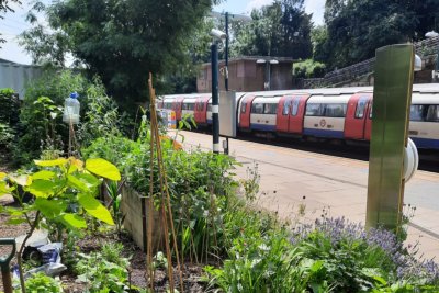 Finchley Central Energy Garden on Platform 3 of the Tube station. Copyright: Energy Garden