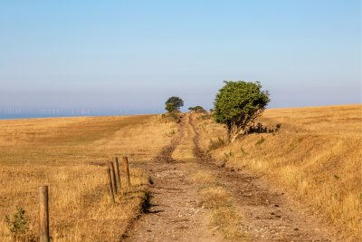 A pathway in the Sussex countryside with parched fields either side due to a heat wave. Copyright: Lemanieh | Istock