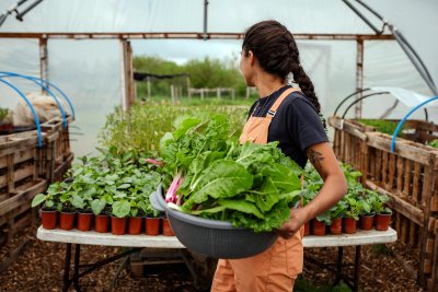 Woodland Farm. Credit: Phoebe Davies / Culture Roots Collective
