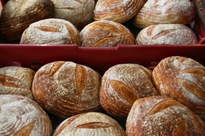 Scottish Festival of Real Bread 2025. Credit: Chris Young / www.realbreadcampaign.org CC-BY-NC-SA-4.0