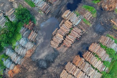 Industrial livestock farming is the single biggest threat to global biodiversity. Credit: Photo by Pok Rie from Pexels