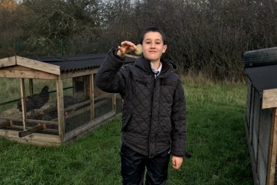 Neo in his happy place with the chickens at GROW. Copyright: GROW