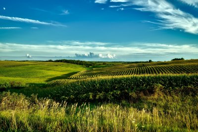 Rural landscape. Credit: Pexels