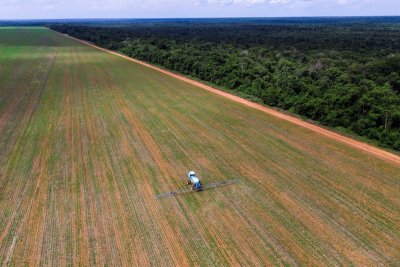 Spraying pesticides in a soybean field in Brazil. Credit: FR.AgroShutterstock.com