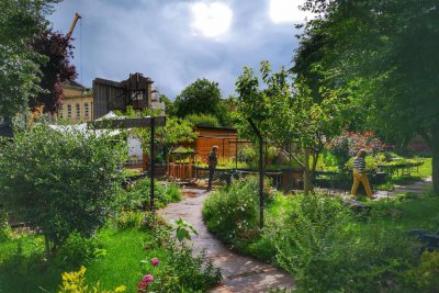 The hidden green gem in Central London on a sunny day. Copyright: Calthorpe Community Garden