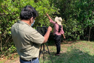 The power of digital storytelling for food growing communities. Copyright: Cobra Collective