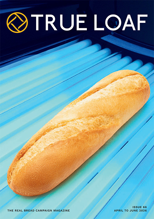 True Loaf 66 cover.