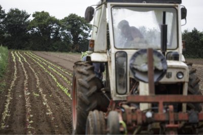 Tractor. Credit: Miles Willis