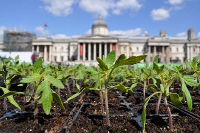 Trafalgar Square. Credit: Sustain