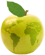 Global apple logo