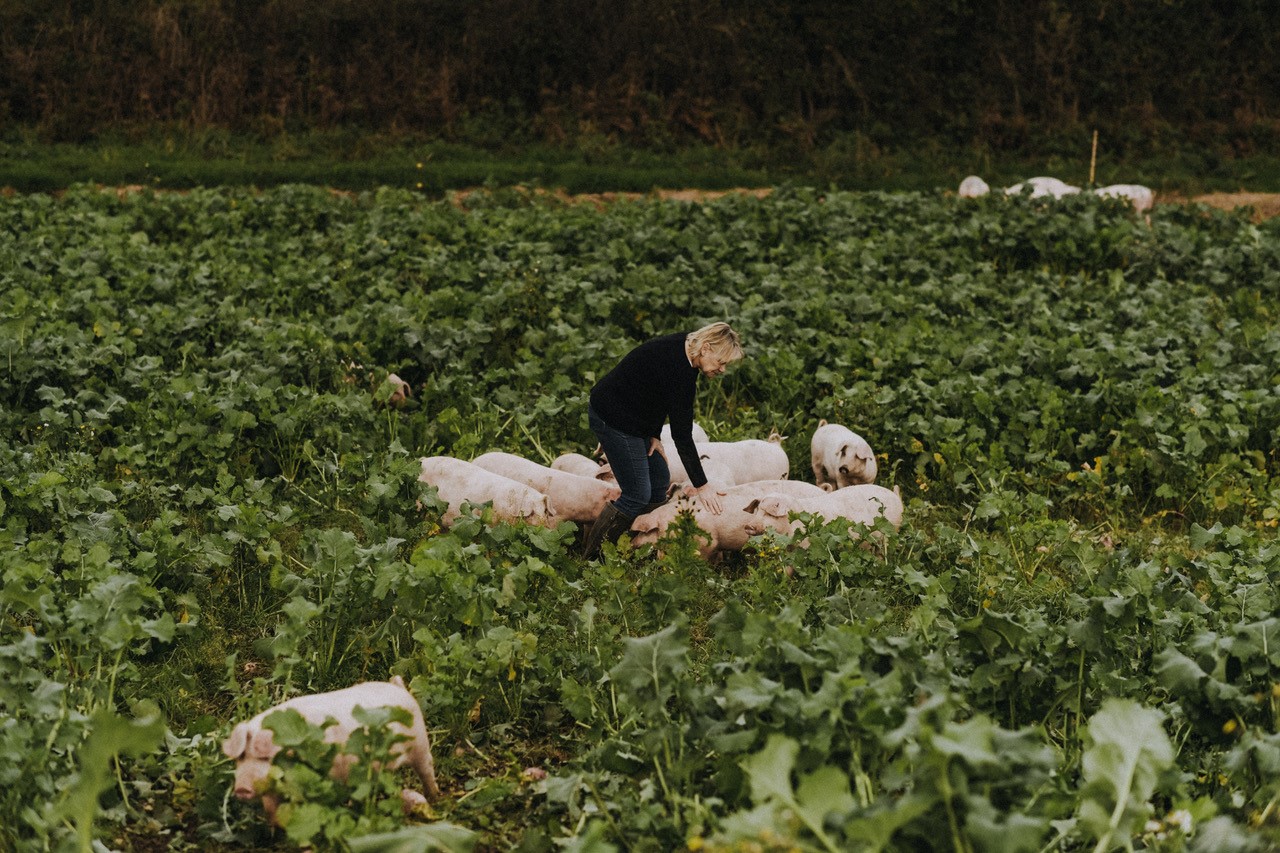 Champion cattle farms case study 05 picture