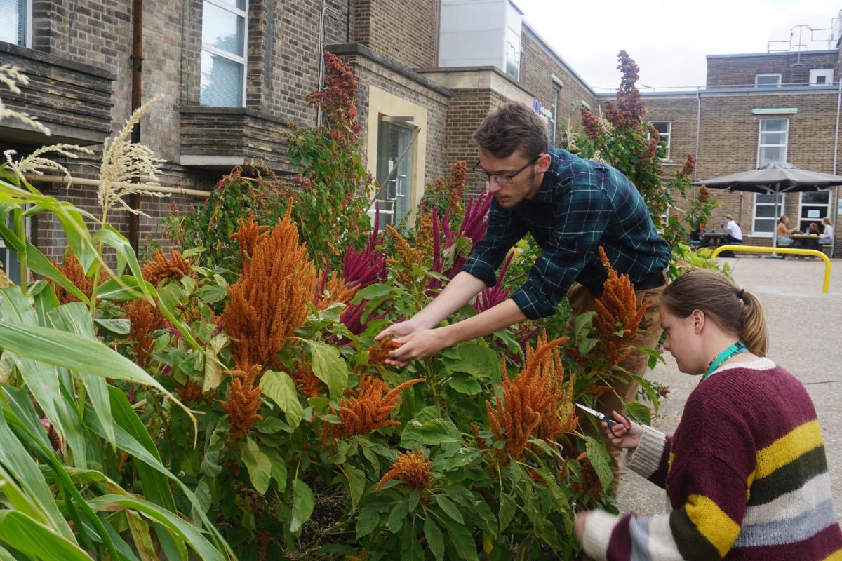 Students Ella Chaloner and Miles Jones. Photo: Ollie Cem Ayyildiz