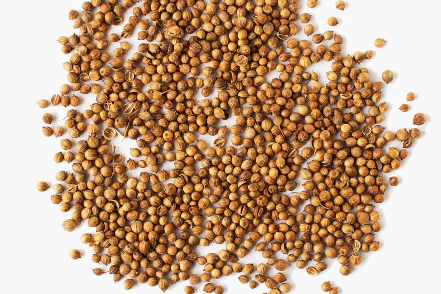 Coriander seeds. Photo CC0 public domain