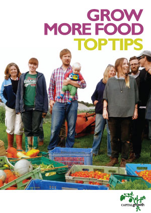 Grow More Food: Top Tips